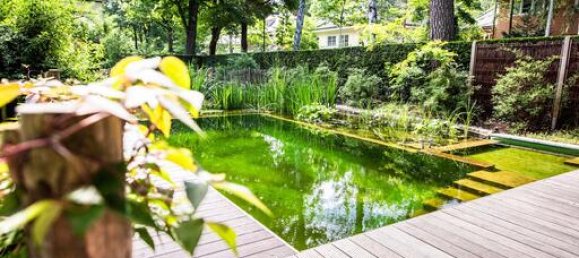 5 rooms Villa in Potsdam-Mittelmark, Germany No. 24952 7