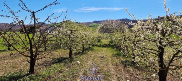 Casa de 2 dormitorios en Montegiorgio, Italy No. 170169 15
