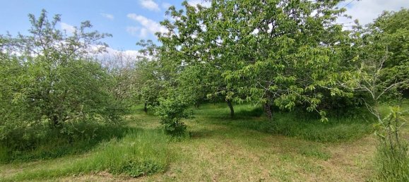 Casa de 3 dormitorios en Champillet, France No. 71914 49