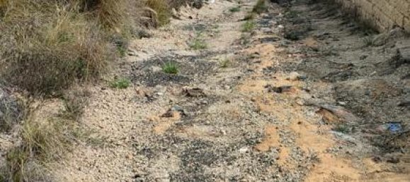 Terreno en Granadilla de Abona, Spain No. 157777 14