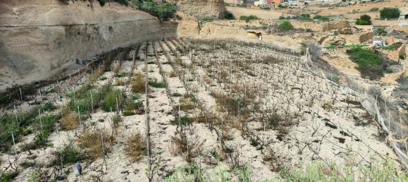 Terreno en Granadilla de Abona, Spain No. 157777 2