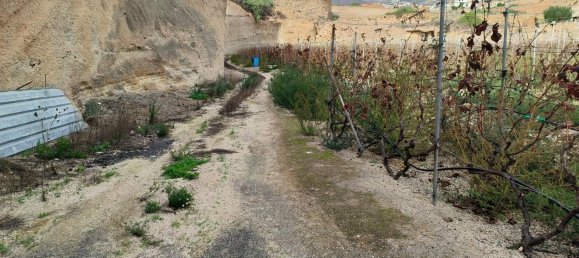 Terreno en Granadilla de Abona, Spain No. 157777 6