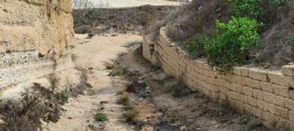 Terreno en Granadilla de Abona, Spain No. 157777 15