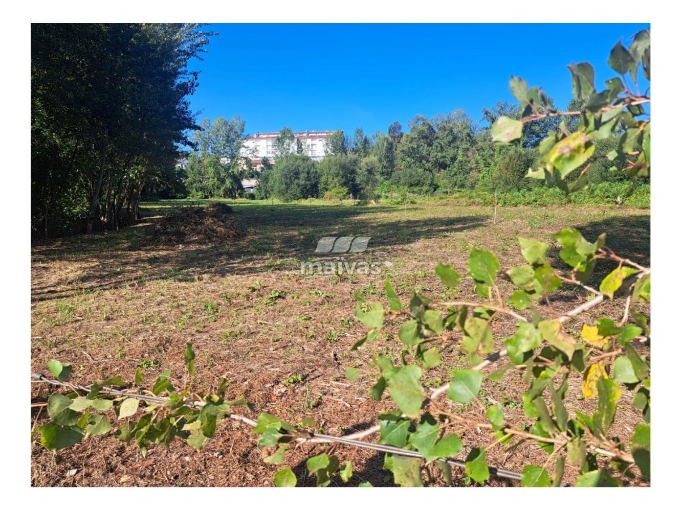 1460m² Land in Loureira, Portugal No. 331268