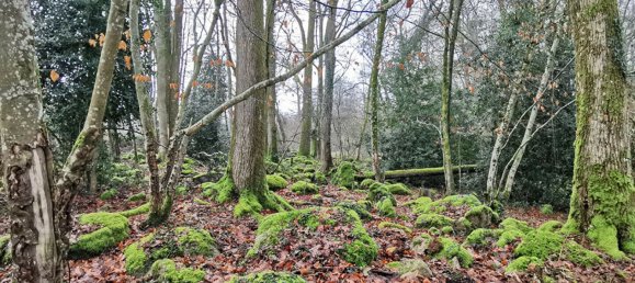 3 bedrooms House in Mayenne, France No. 357801 6