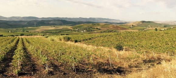 Terreno em Alcamo, Italy 170000 m² N.º 261011 11