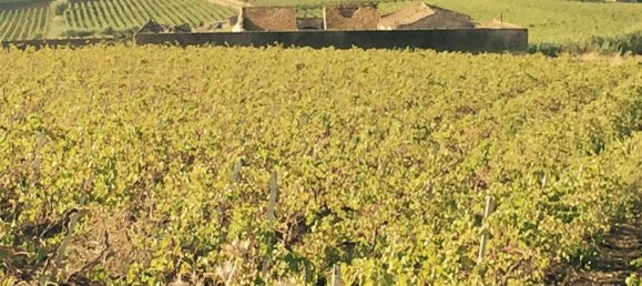 Terreno em Alcamo, Italy 170000 m² N.º 261011 12