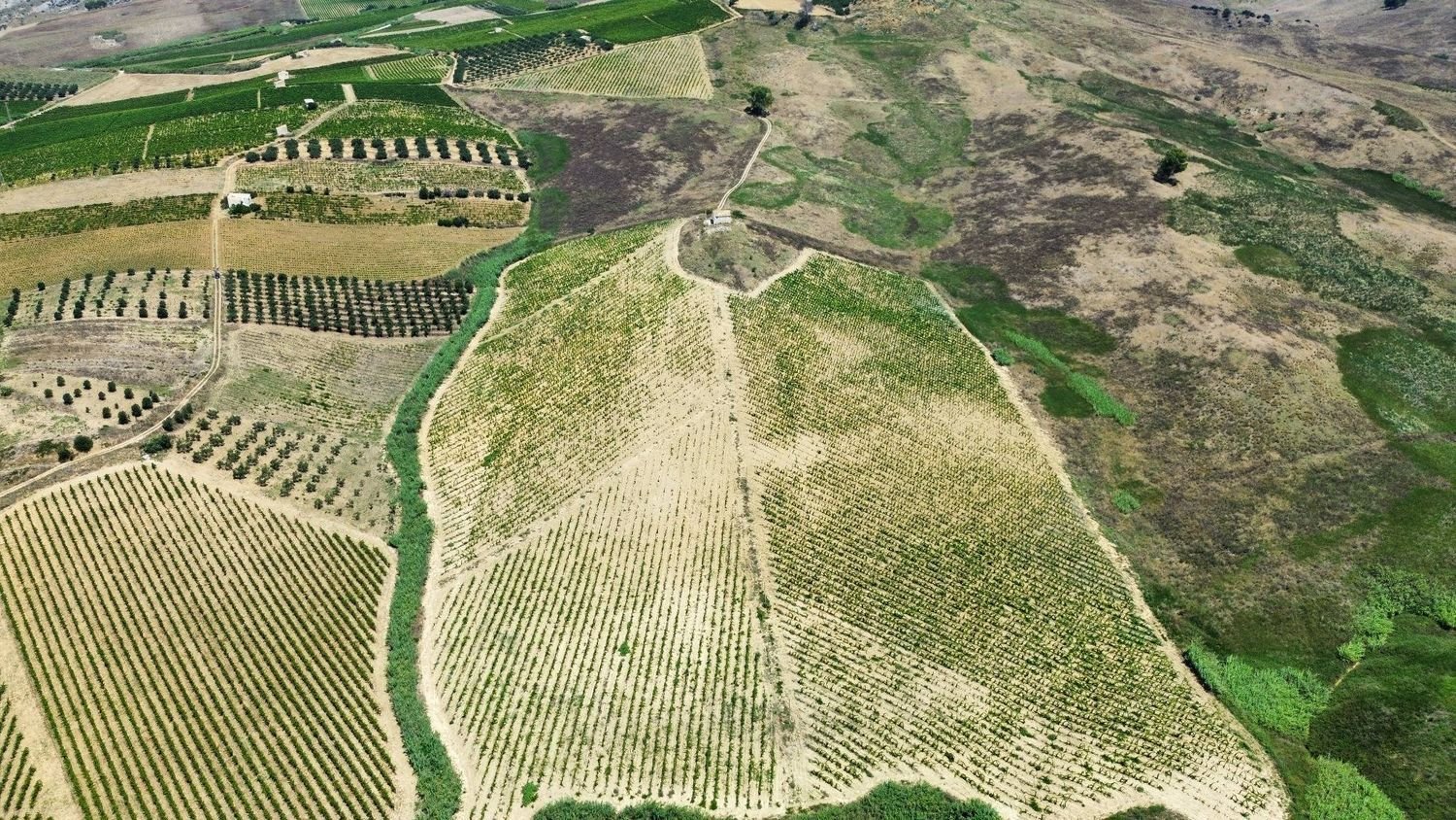 Terreno em Alcamo, Italy 170000 m² N.º 261011