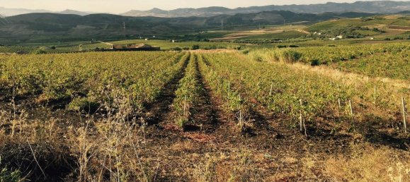 Terreno em Alcamo, Italy 170000 m² N.º 261011 10