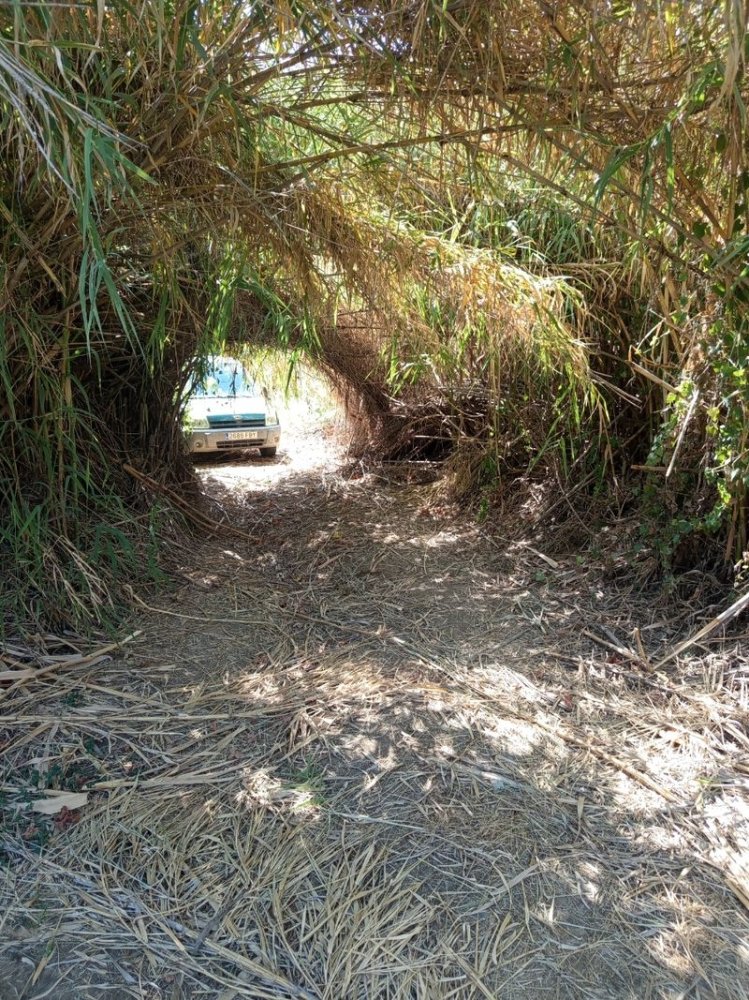 Grundstück in Guaro, Spain 1800m², Nr. 223975