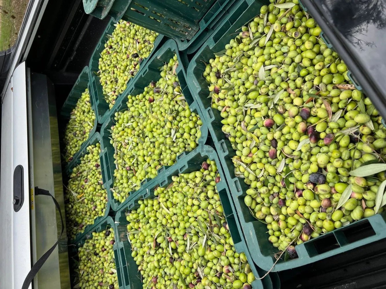  Land in Caltagirone, Italy No. 376376