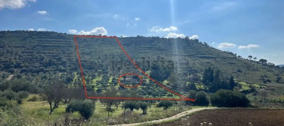 Land in Caltagirone, Italy No. 376376 3