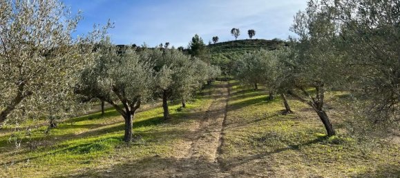Land in Caltagirone, Italy No. 376376 2