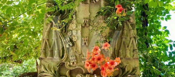 6 bedrooms House in Salzedas, Portugal No. 62710 23