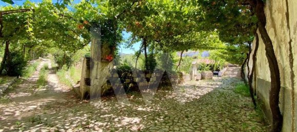 6 bedrooms House in Salzedas, Portugal No. 62710 19