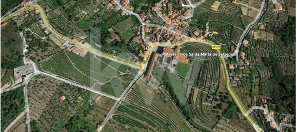 6 bedrooms House in Salzedas, Portugal No. 62710 43