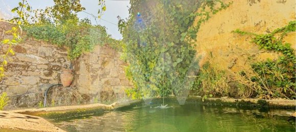 6 bedrooms House in Salzedas, Portugal No. 62710 21