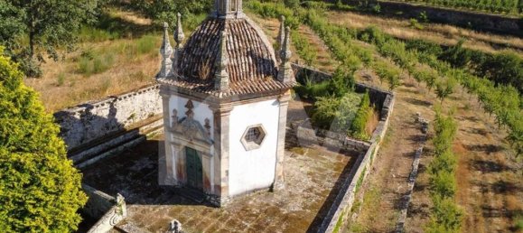 6 bedrooms House in Salzedas, Portugal No. 62710 5