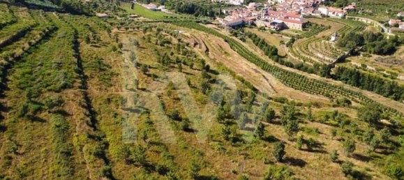 6 bedrooms House in Salzedas, Portugal No. 62710 3