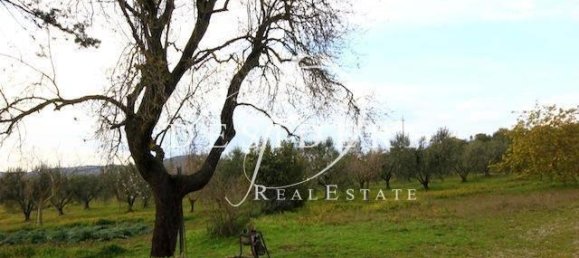 6 rooms House in Campagnatico, Italy No. 107130 5