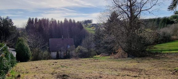 Terreno en Pressbaum, Austria No. 242914 4