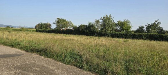 1 bedroom Apartment in Mannheim, Germany No. 367589 23