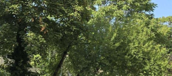 1 bedroom Apartment in Mannheim, Germany No. 367589 18