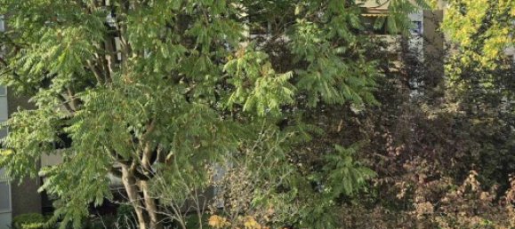 1 bedroom Apartment in Mannheim, Germany No. 367589 5