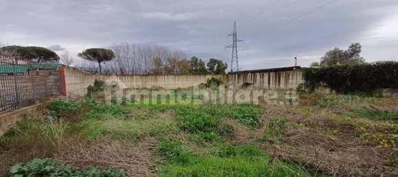  قطعة أرض في Acerra, Italy 850متر مربع رقم 193719 2