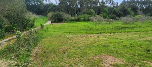 Grundstück in Ribadesella, Spain, Nr. 150659 5