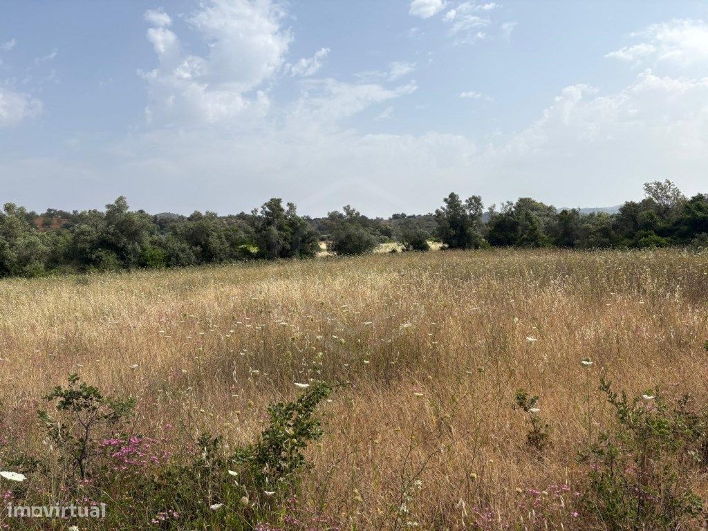 Terrain à Salir, Portugal 9300m² No. 325277