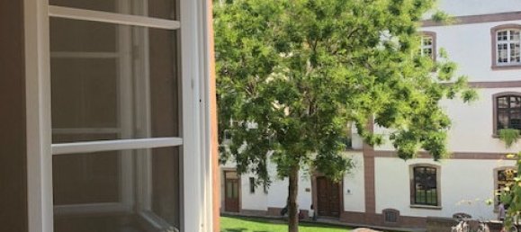 Apartamento de 1 dormitorio en Strasbourg, France No. 99692 3