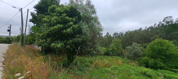  قطعة أرض في Macinhata do Vouga, Portugal 700متر مربع رقم 86253 2