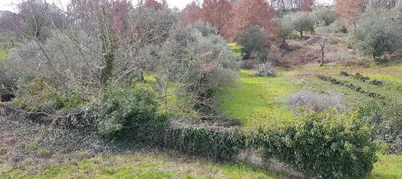 Студия в Альберобелло, Италия № 293345 8