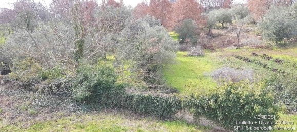 Студия в Альберобелло, Италия № 293345 14