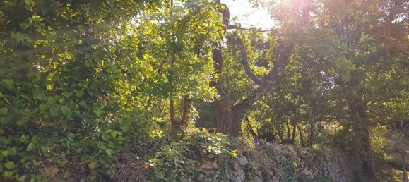 Студия в Альберобелло, Италия № 293345 11