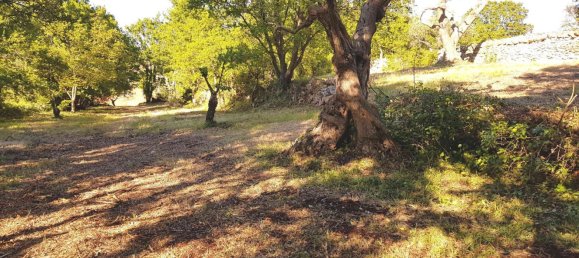 Студия в Альберобелло, Италия № 293345 16