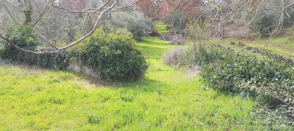 Студия в Альберобелло, Италия № 293345 13