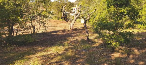 Студия в Альберобелло, Италия № 293345 15