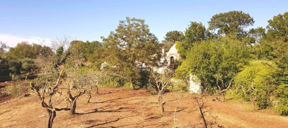 Студия в Альберобелло, Италия № 293345 12