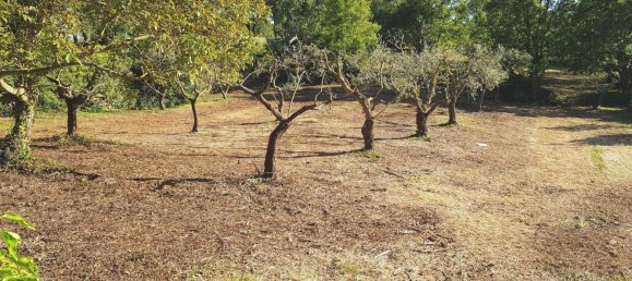 Студия в Альберобелло, Италия № 293345 17