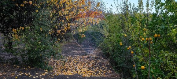 2 Schlafzimmer Haus in Zafferana Etnea, Italy, Nr. 127460 22