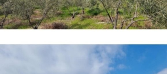 19733m² Hotel for sale in Agios Theodoros, Larnaka, Cyprus № 6047 2