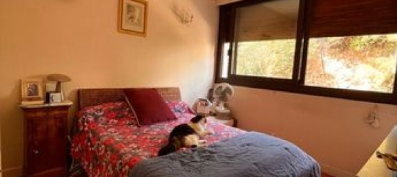 4 bedrooms Apartment in Bastia, France No. 303108 15