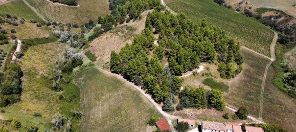 Terrain à Ripatransone, Italy 93260m² No. 314133 4