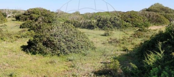 Terreno em Vila do Bispo, Portugal 1750 m² N.º 73058 7