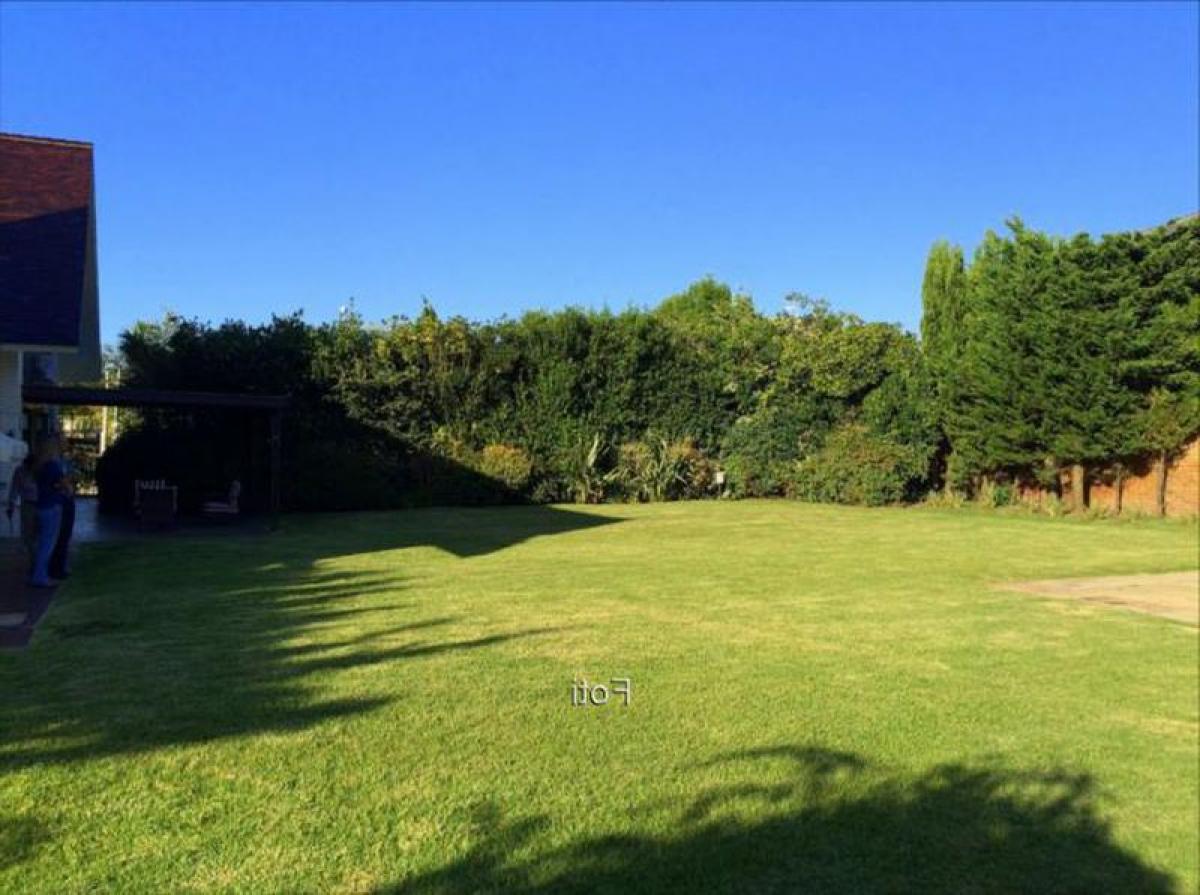 7 bedrooms House in Montevideo, Uruguay No. 11853