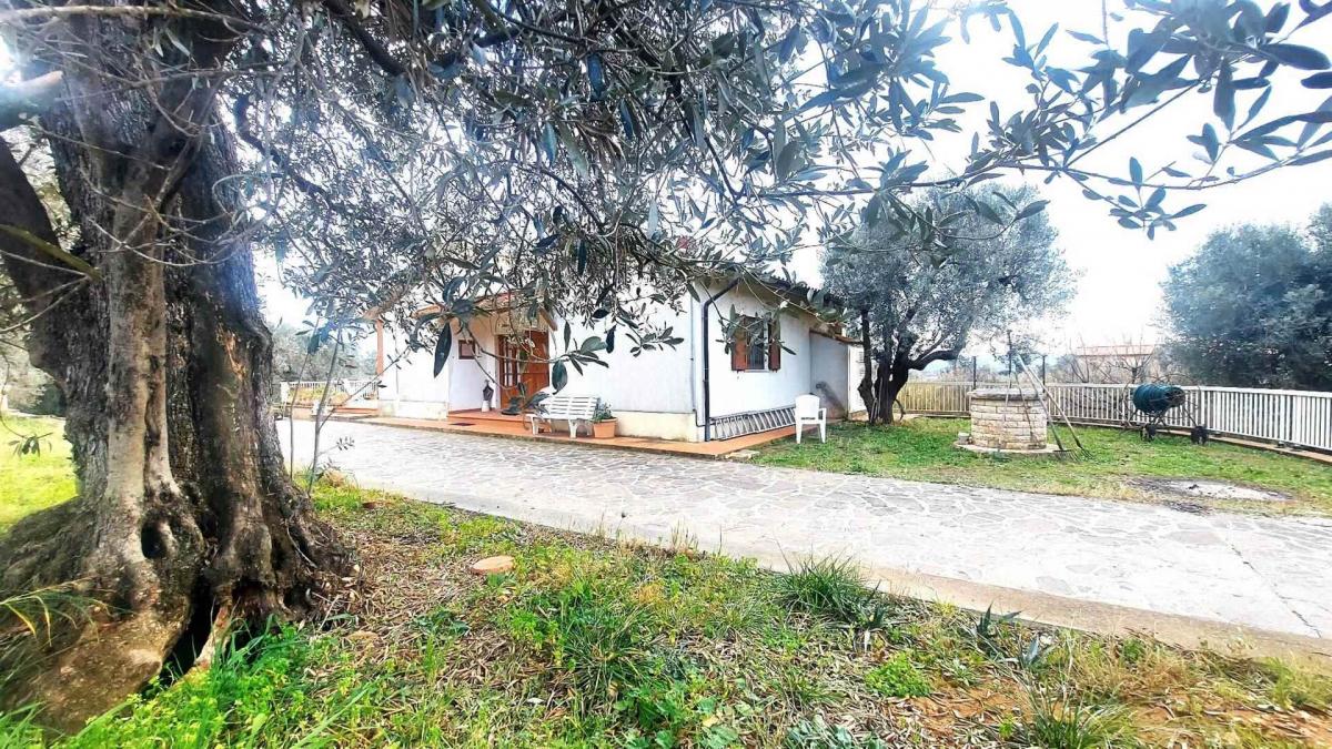 2 bedrooms Apartment in Campiglia Marittima, Italy No. 1002