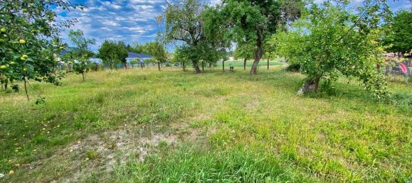 5 Schlafzimmer Haus in Elbe-Elster, Germany, Nr. 78824 13