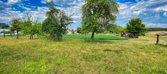5 Schlafzimmer Haus in Elbe-Elster, Germany, Nr. 78824 12